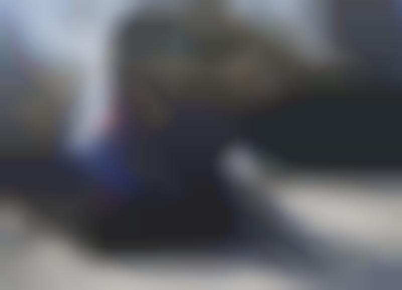 Top 100 Pet Products in 2017