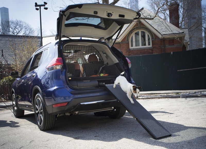 Dog-Friendly SUVs