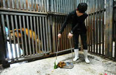 Cage-Cleaning Animal Experiences