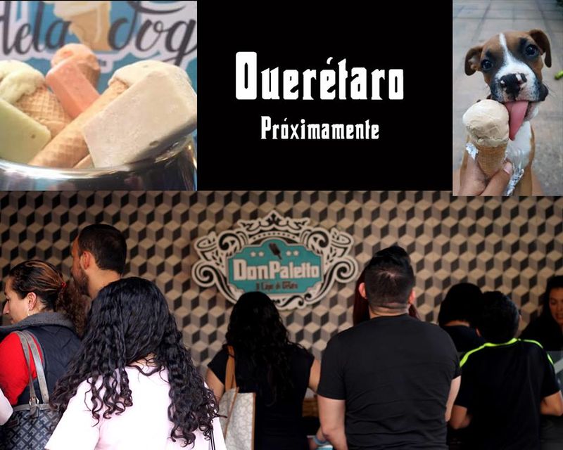 Dog-Friendly Ice Cream Parlors