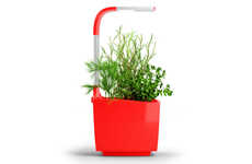 Kitchen Vegetable Gardens