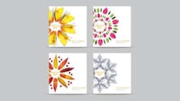Seasonal Supplement Sets Image 3