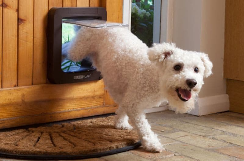 Smart Pet Doors