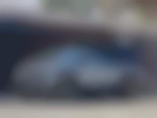 Automaker Personal Driver Programs