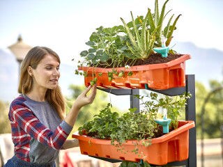 Modular Indoor Vertical Gardens