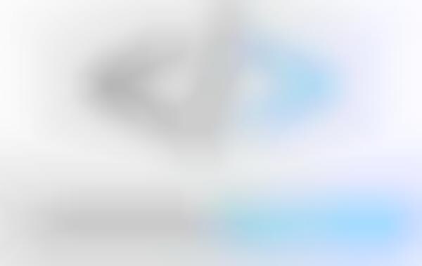 Autistic Adult Coding Classes