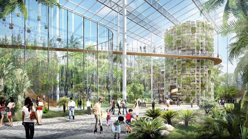 Vertical Hydroponic Farms