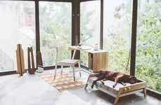 Contemporary Canine Beds