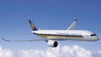 Eco-Friendly International Flights Image 2