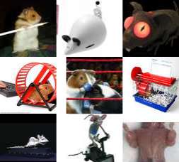 27 Rodent-Inspired Innovations For Groundhog Day