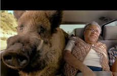 Roadtrips With Warthogs