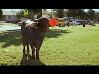 Roadtrips With Warthogs Image 7