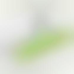 Green Computer Printers