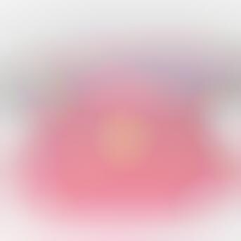 ���� ���� ������ �� ���� ������