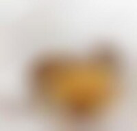 Sophisticated Hamburger Tools Image 1
