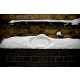 Snowvertising Image 3