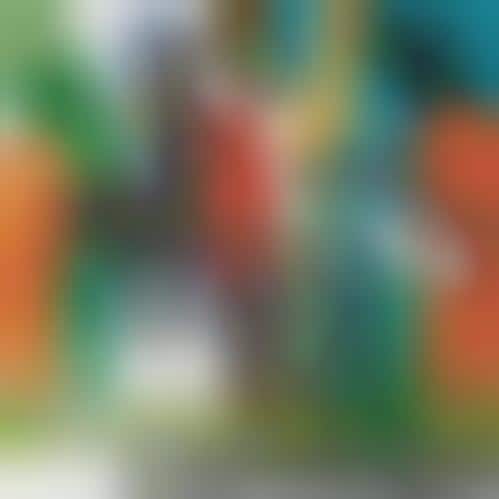 Playful Animal Screen Prints