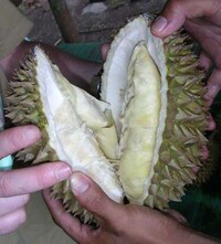 Culinary Culture Shocks Image 2