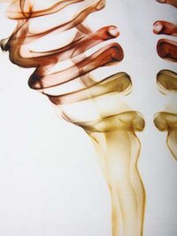 Feminine Physique Skulls Image 2