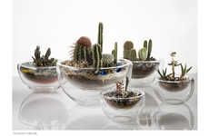 Micro Gardens as Living Art
