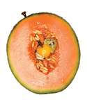 Healthy Food Fusions Image 4