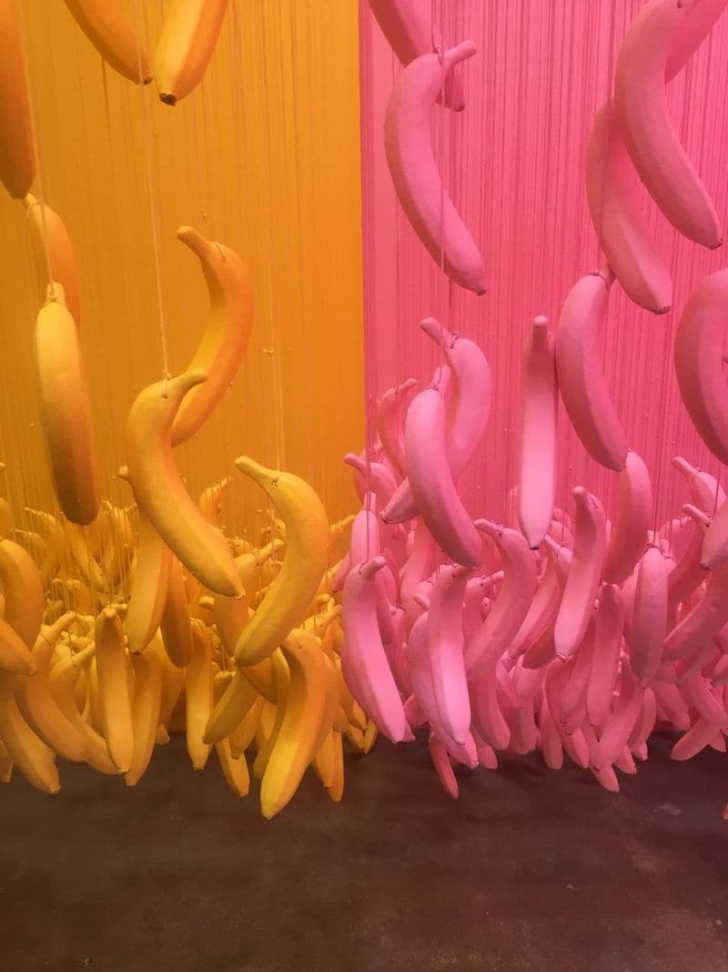 Immersive Ice Cream Museums