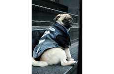 Canine Streetwear Retailers