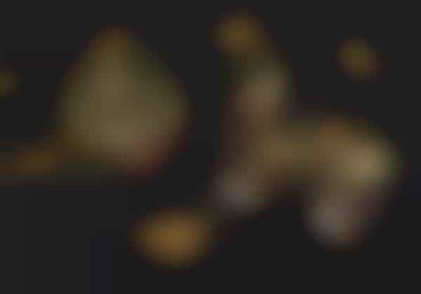 24-Karat Hybrid Donuts