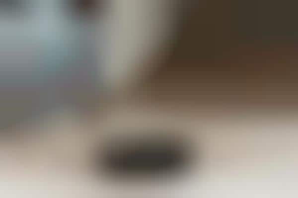 Voice Assistant Robot Vacuums
