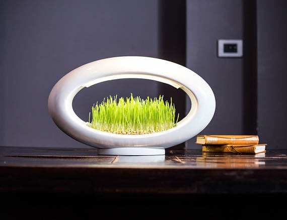 Illuminated Micro Gardens