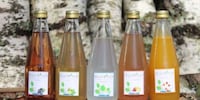 Fermented Birch Water Beverages Image 3