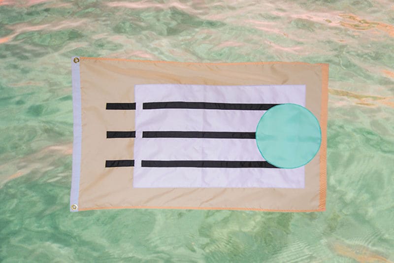 Politically Charged Protest Flags