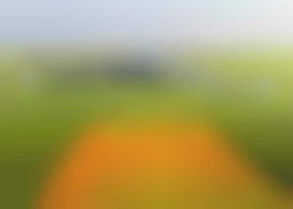 Agricultural Crop-Scouting Drones