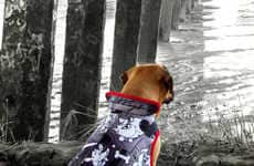Bespoke Dog Jackets