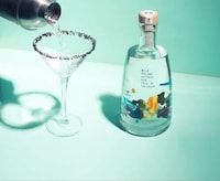 Island-Themed Gin Branding Image 4