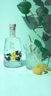 Island-Themed Gin Branding Image 5