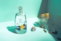 Island-Themed Gin Branding Image 6