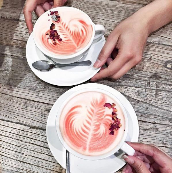 Floral Rose Lattes