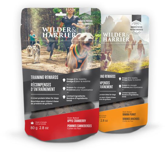 Insect-Based Dog Treats