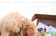 Puppy-Friendly Subscription Boxes