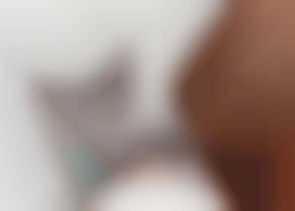 Smart Cat-Tracking Devices