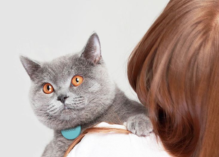 Smart Cat-Tracking Devices