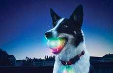 Color-Changing Fetch Toys