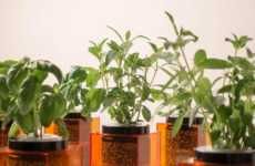 Hydroponic Grow Systems