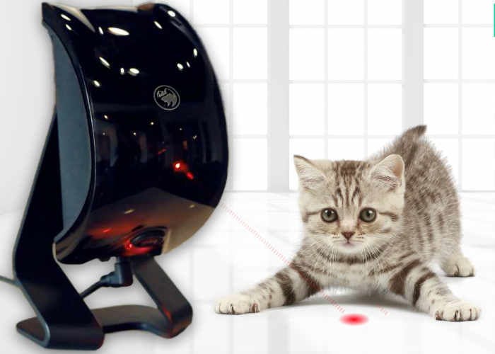 Randomized Smart Pet Toys
