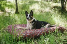 Outdoor Dog Accessories