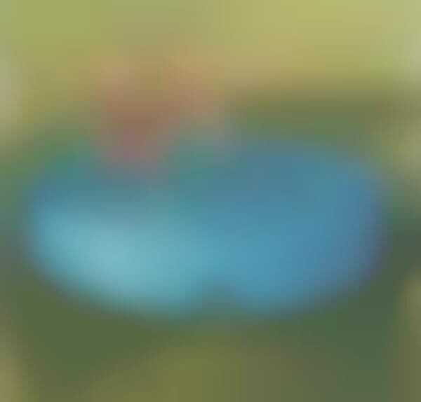 Modular PVC Dog Pools