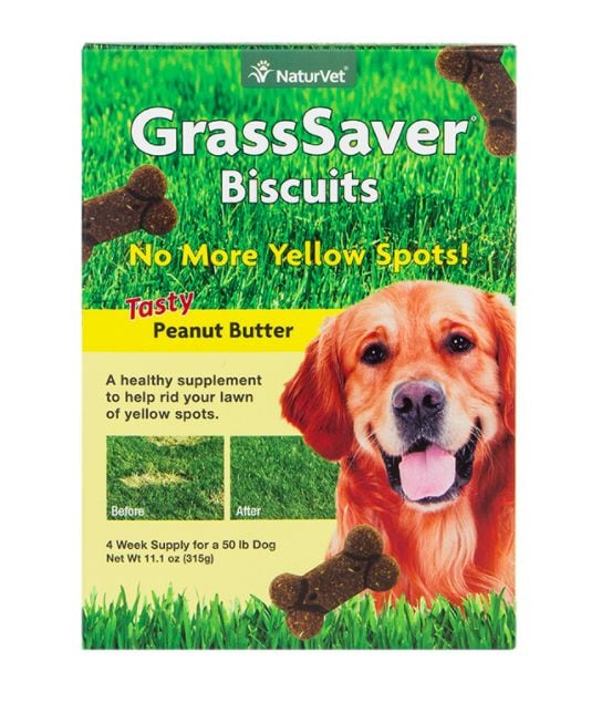 42 Anthropomorphic Dog Products