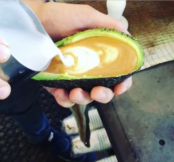 Avocado Latte Cups