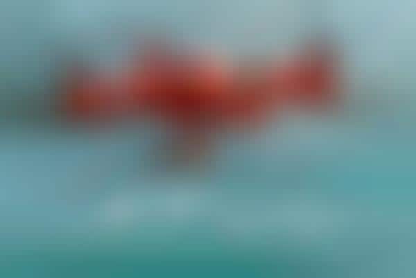 Aquatic HD Action Drones